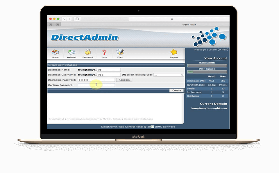 Master cPanel vps9-directadmin-cpanel