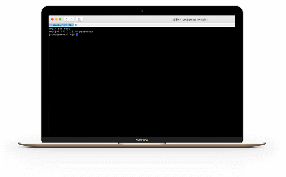 Root Access vps9-full-root access