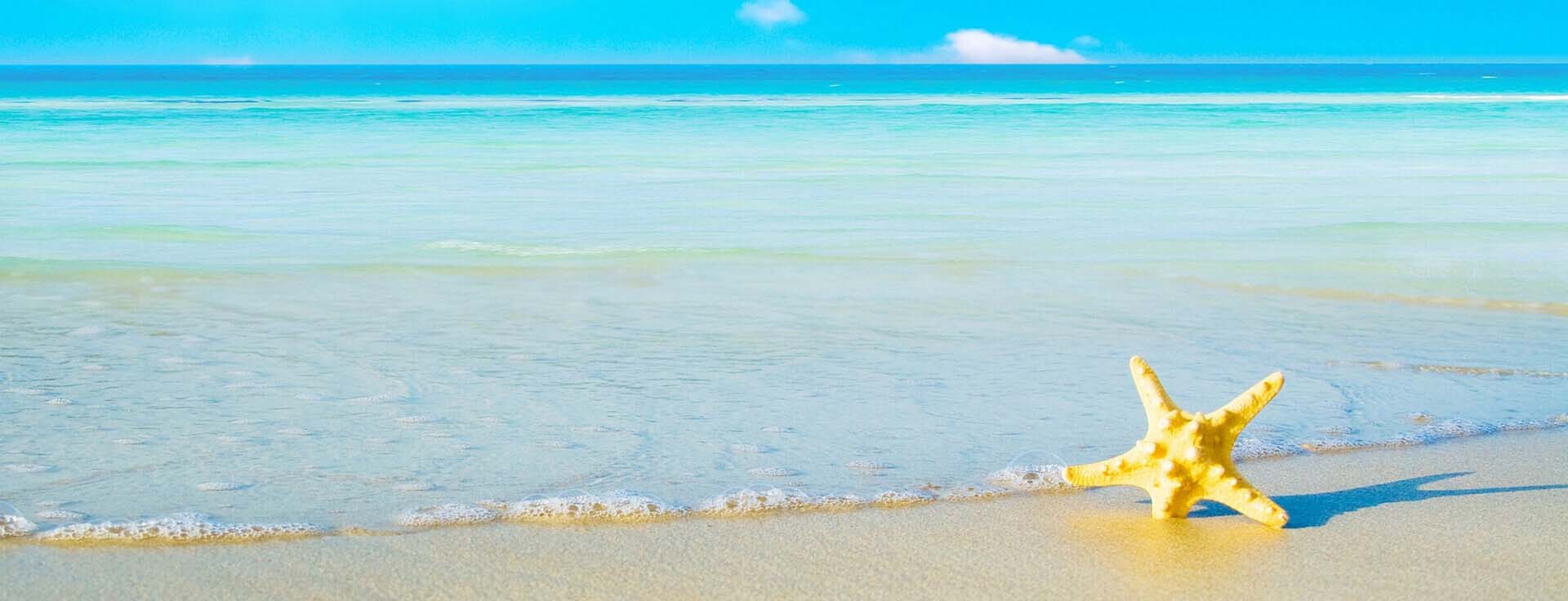 summer sale summer sale