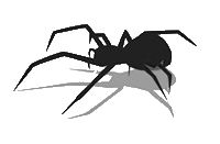 spider
