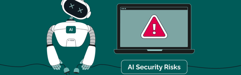 Limitations-and-Risks 