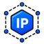Dedicated IP address