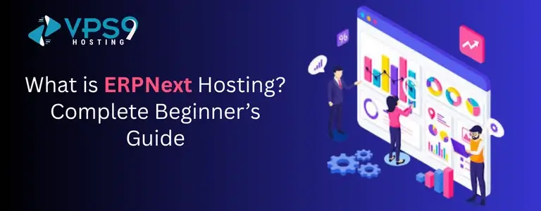ERPNext Hosting