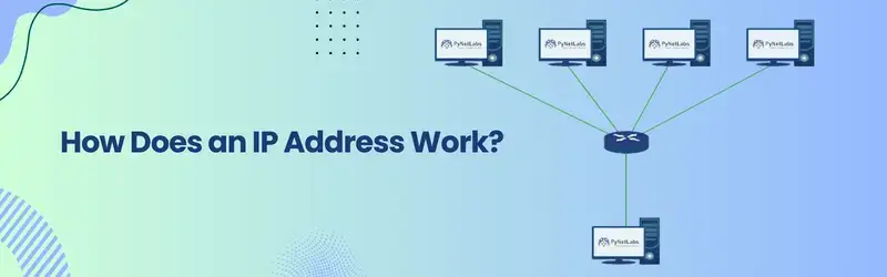 IP Address